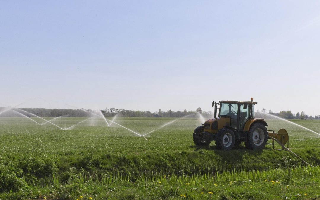 Pemadaman Kilat di Pelabuhan